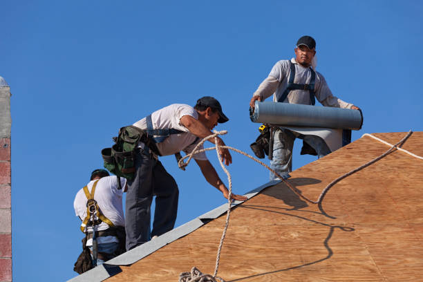 Roof Gutter Cleaning in Highpoint, OH